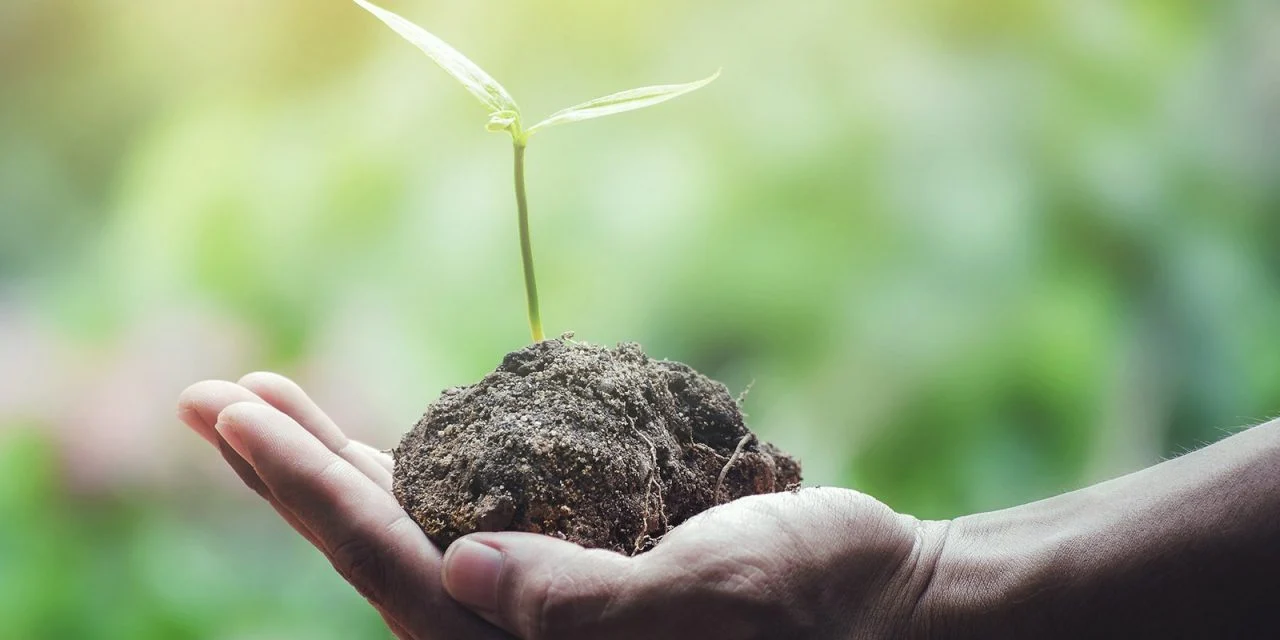 Pleidooi voor een communistische ecologie