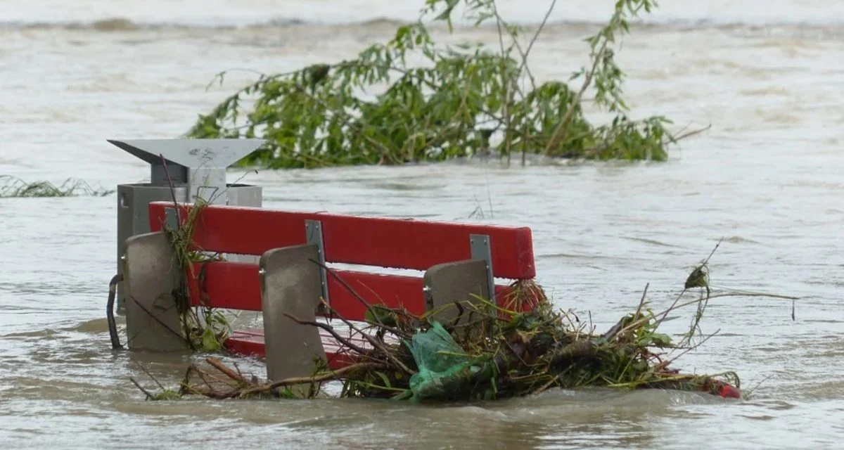 Common declaration on the catastrophic floods