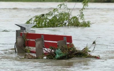 Common declaration on the catastrophic floods