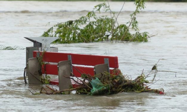 Common declaration on the catastrophic floods