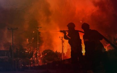 Solidarity declaration regarding destructive fires in Southern Europe