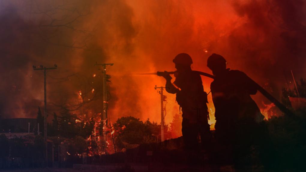 Solidariteitsverklaring n.a.v. de vernietigende bosbranden in Zuid-Europa